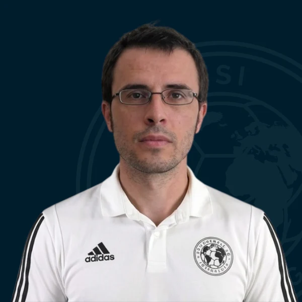 Michalis G. Nikolaidis